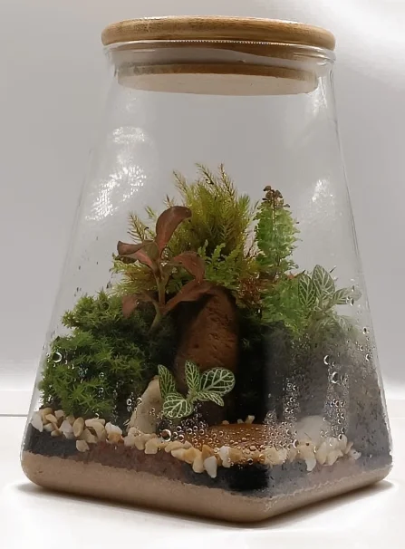 Terrário 01